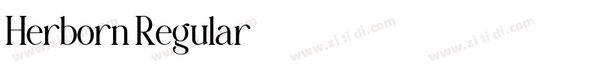 Herborn Regular字体转换